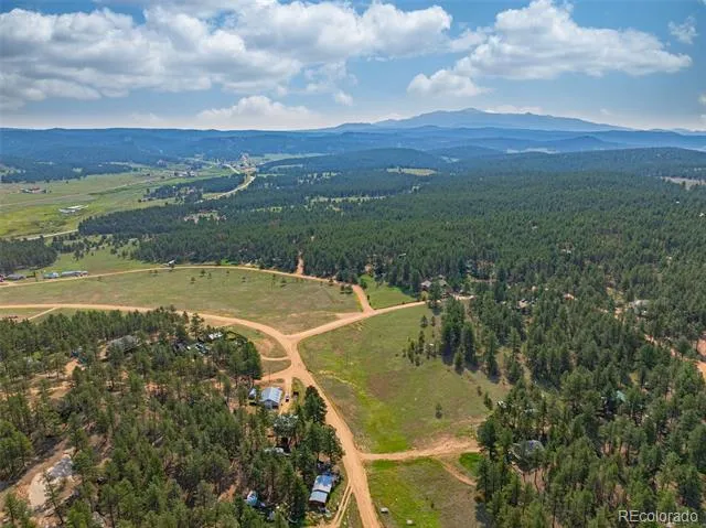 322 Phoebus Drive Florissant, CO 80816