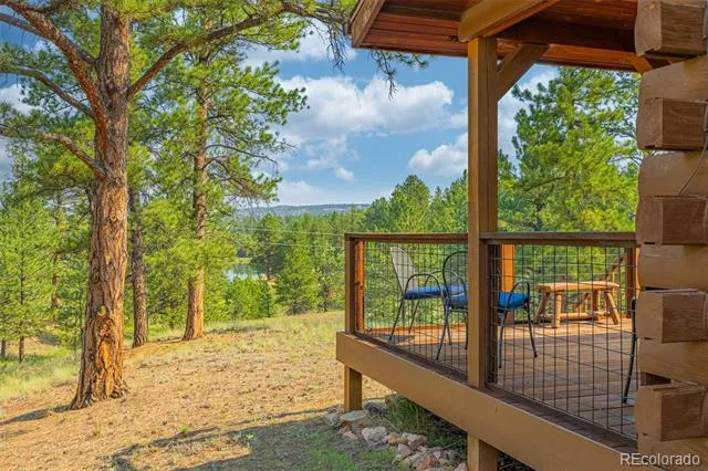 322 Phoebus Drive Florissant, CO 80816