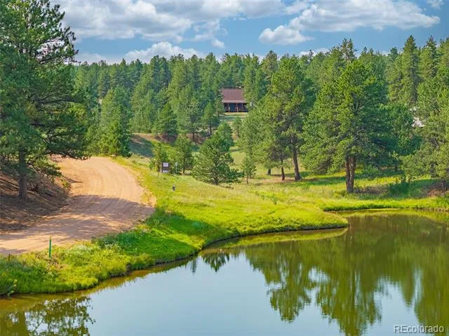 322 Phoebus Drive Florissant, CO 80816
