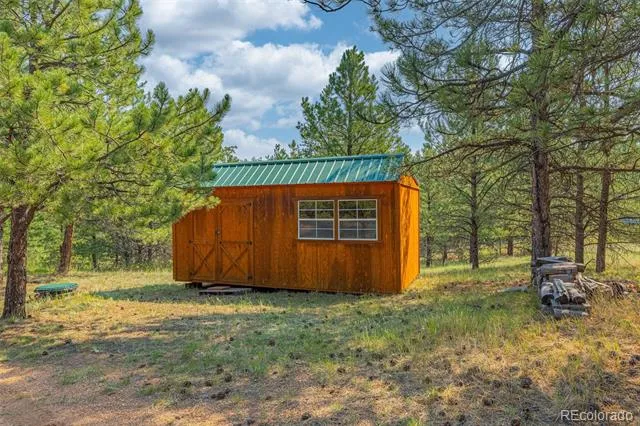 322 Phoebus Drive Florissant, CO 80816