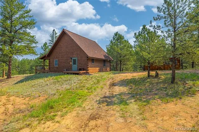 322 Phoebus Drive Florissant, CO 80816