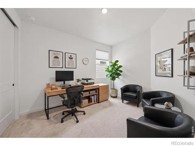 1431 Mullers Drive Windsor, CO 80550