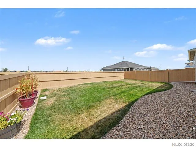 1431 Mullers Drive Windsor, CO 80550