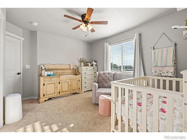 560 Cimarron Drive Ault, CO 80610