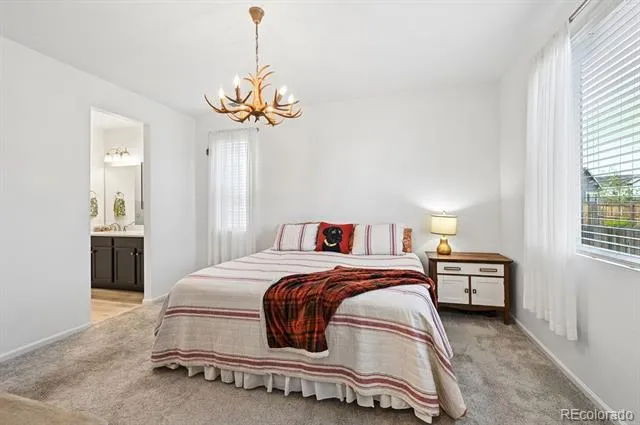 125 Vista Canyon Drive Castle Rock, CO 80104