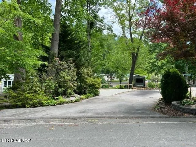 4224 E Parkway Gatlinburg, TN 37738
