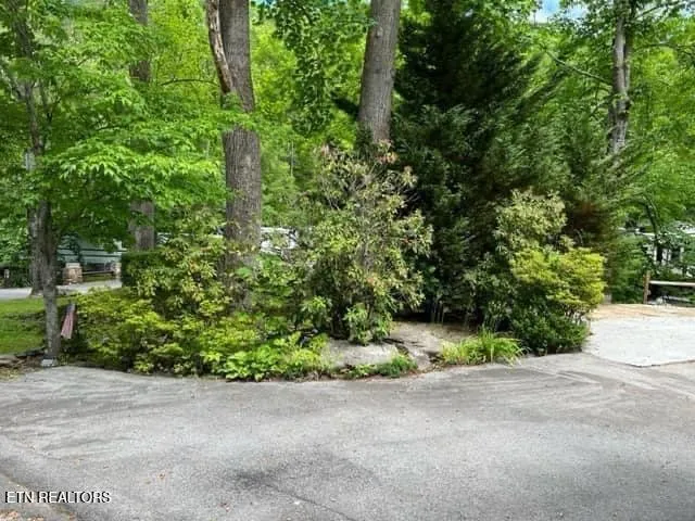 4224 E Parkway Gatlinburg, TN 37738