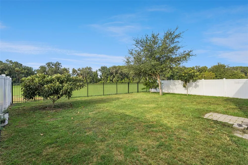29505 CASPIAN STREET Leesburg, FL 34748