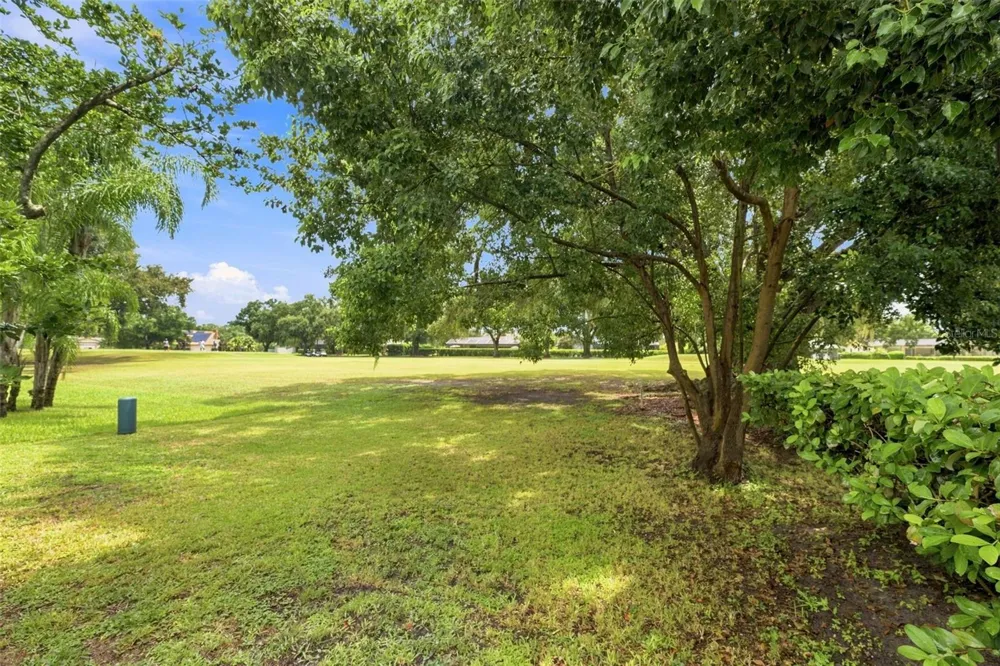 550 PALMDALE DRIVE Oldsmar, FL 34677