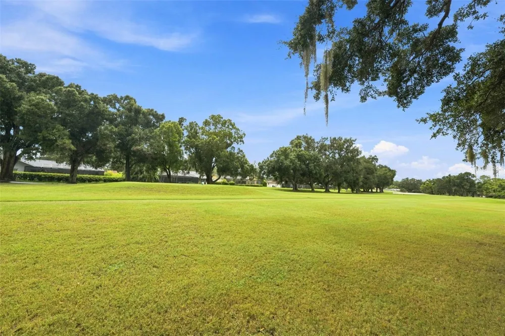 550 PALMDALE DRIVE Oldsmar, FL 34677