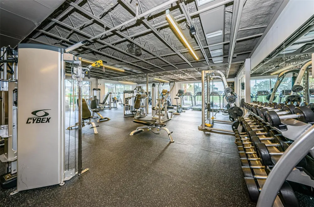 550 PALMDALE DRIVE Oldsmar, FL 34677