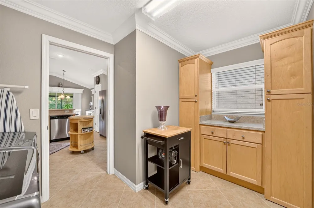 2425 BOILING SPRINGS COURT The Villages, FL 32162