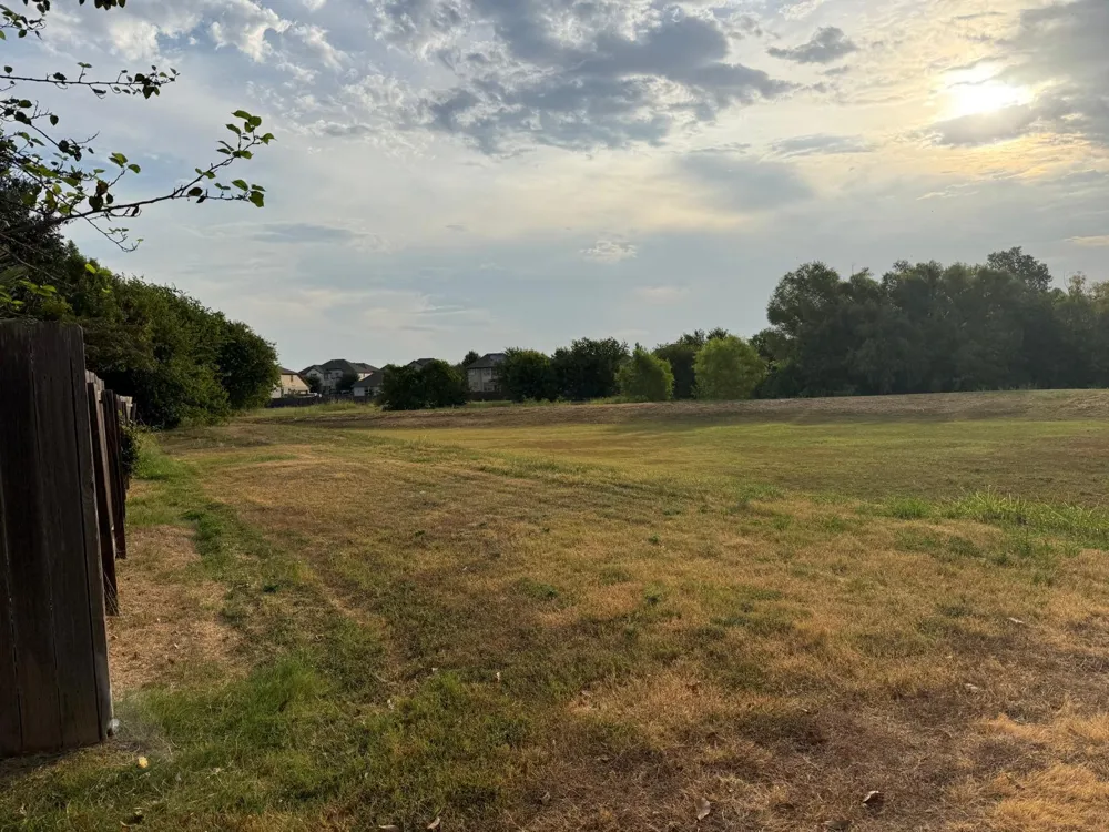 1008 Statler Bend Drive Pflugerville, TX 78660