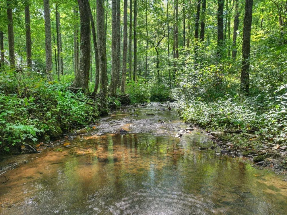606 Johntown Road Ellijay, GA 30536