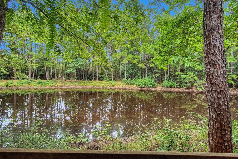 272 Tom Marsh Road Livingston, TX 77351