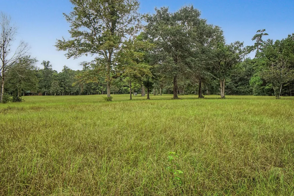 272 Tom Marsh Road Livingston, TX 77351