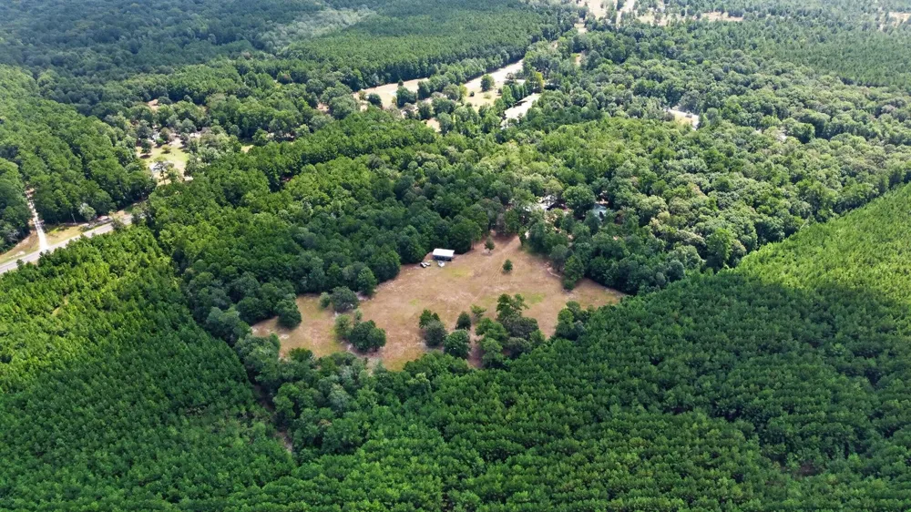 272 Tom Marsh Road Livingston, TX 77351