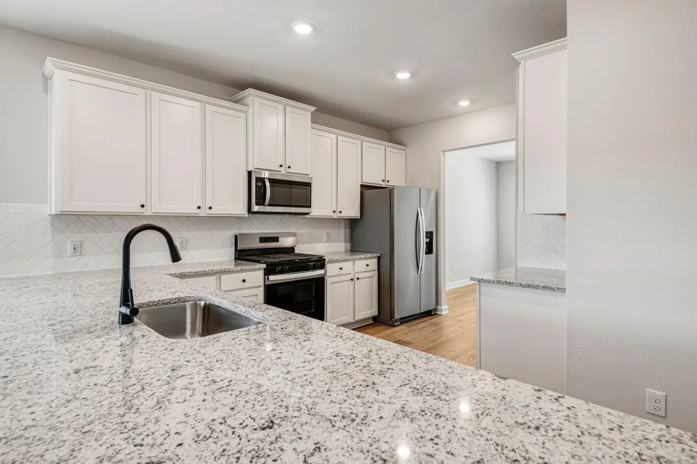 15638 Honey Cove Drive Conroe, TX 77303