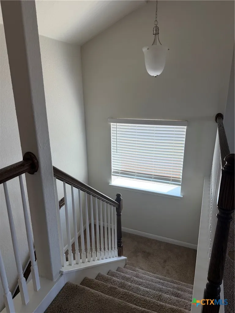 365 Orion Drive New Braunfels, TX 78130