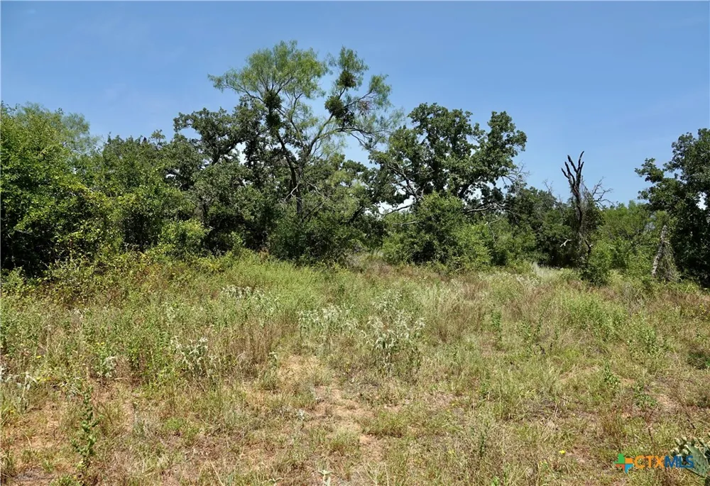5711 FM 765 San Saba, TX 76872