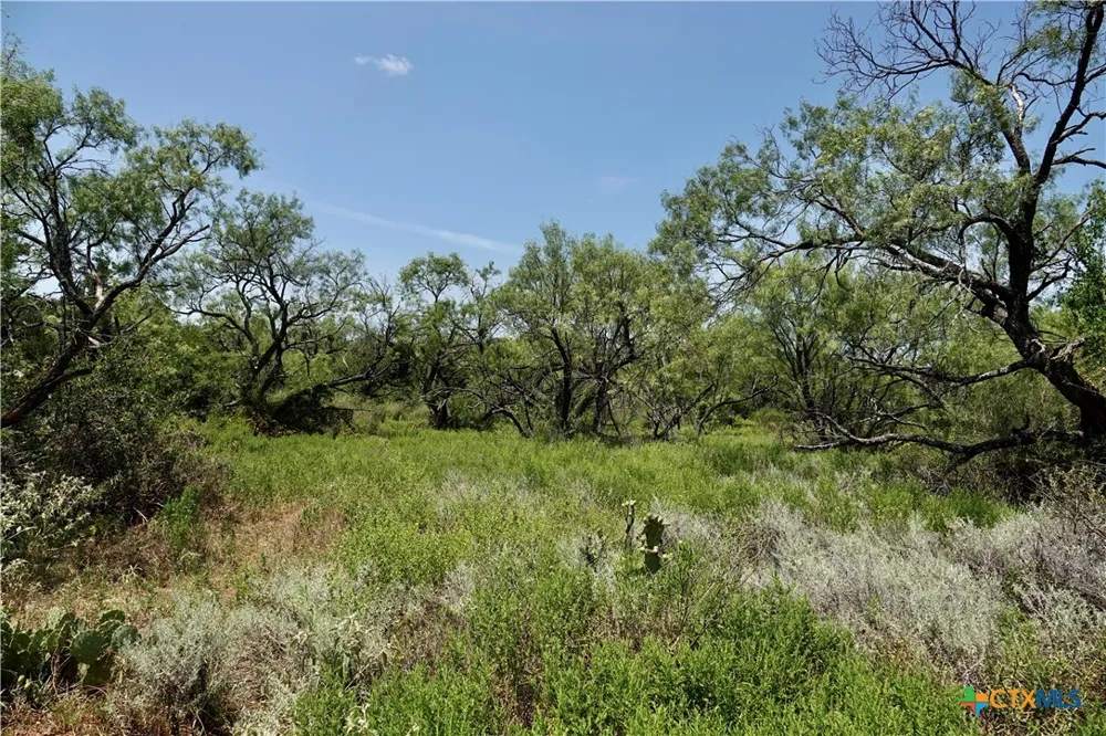 5711 FM 765 San Saba, TX 76872