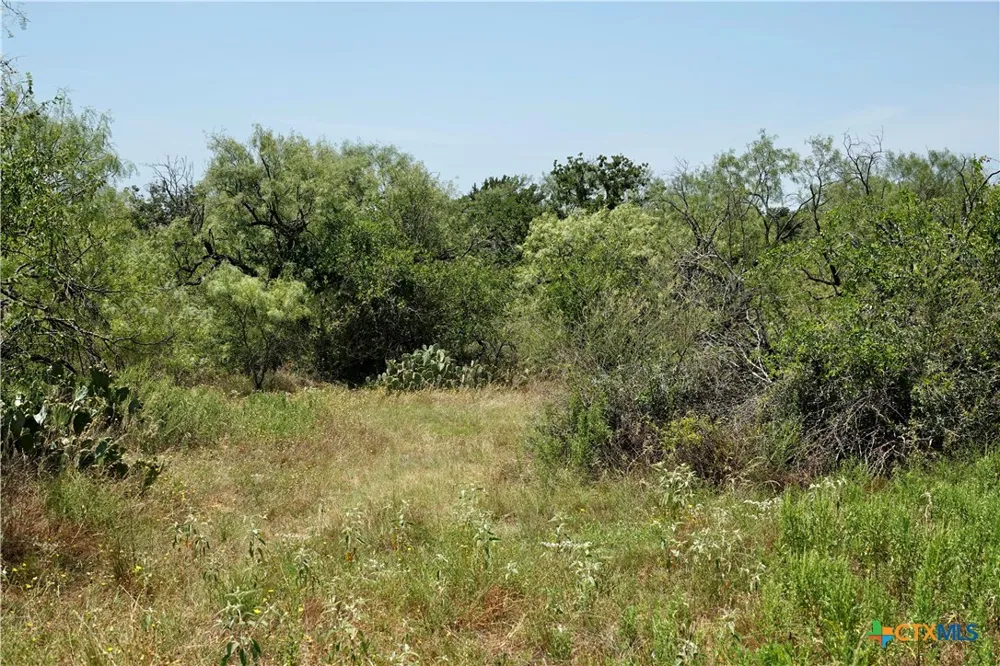 5711 FM 765 San Saba, TX 76872