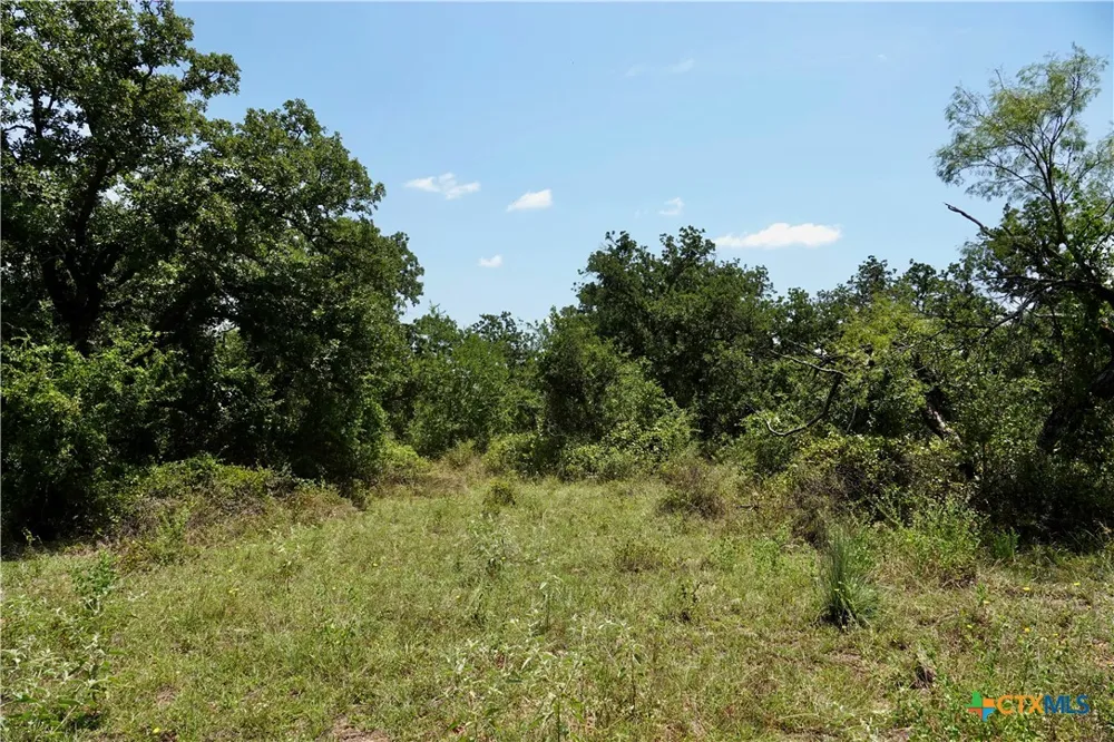5711 FM 765 San Saba, TX 76872