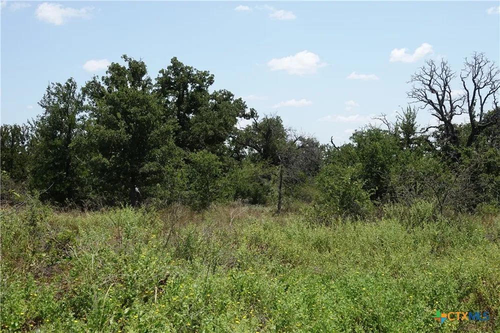5711 FM 765 San Saba, TX 76872