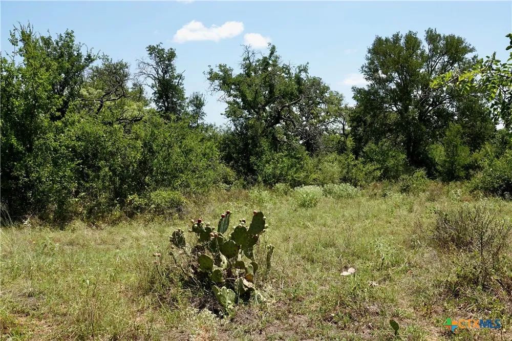 5711 FM 765 San Saba, TX 76872