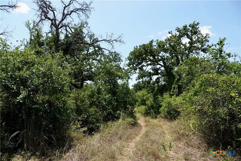 5711 FM 765 San Saba, TX 76872