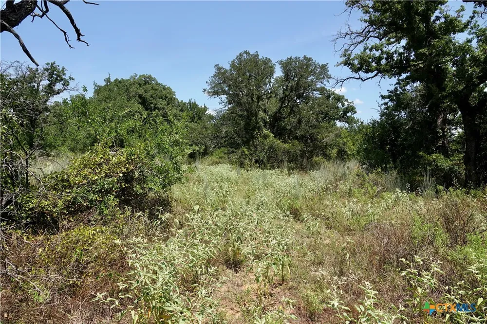 5711 FM 765 San Saba, TX 76872