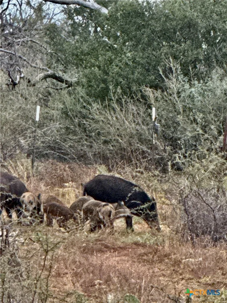 5711 FM 765 San Saba, TX 76872