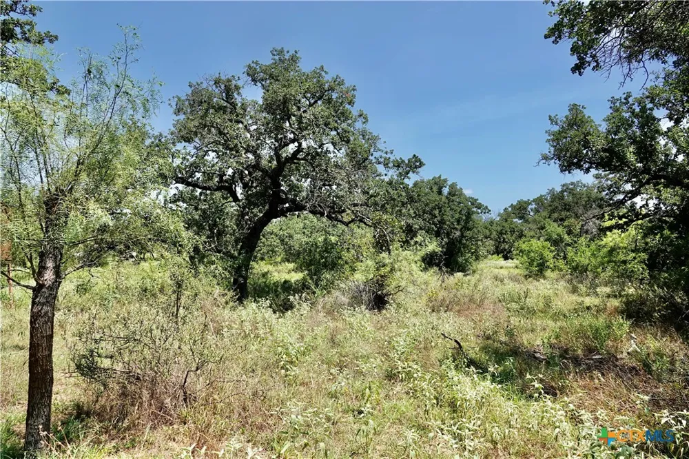 5711 FM 765 San Saba, TX 76872