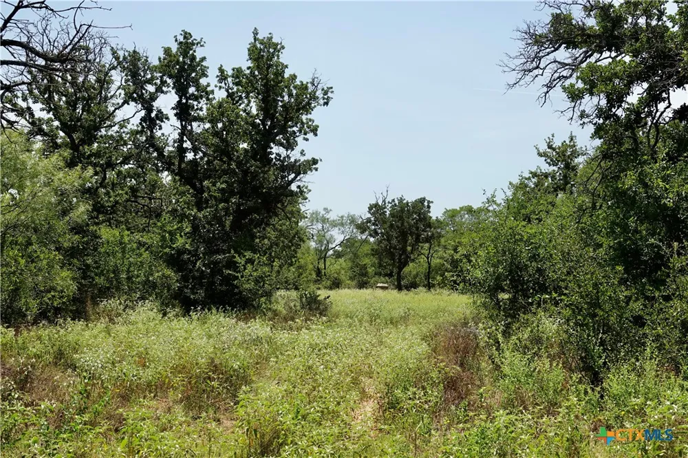 5711 FM 765 San Saba, TX 76872