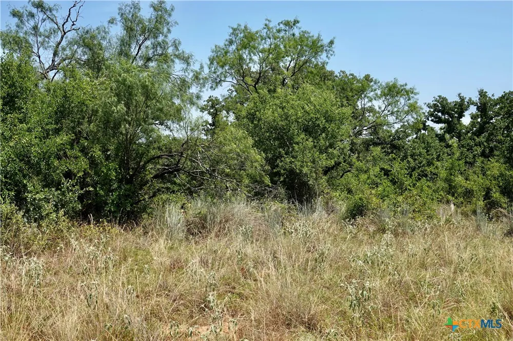 5711 FM 765 San Saba, TX 76872