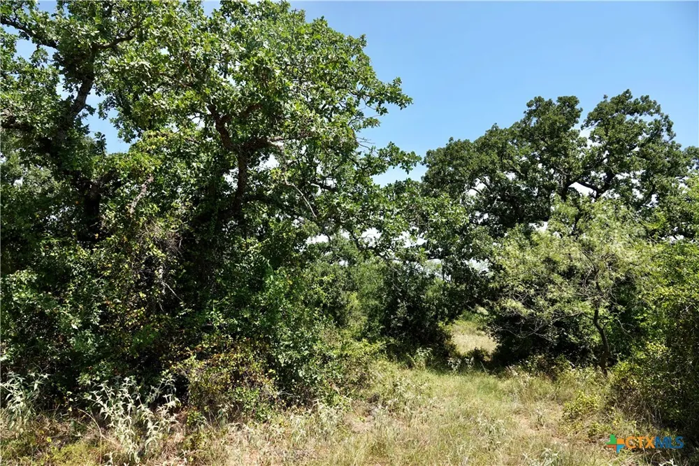 5711 FM 765 San Saba, TX 76872