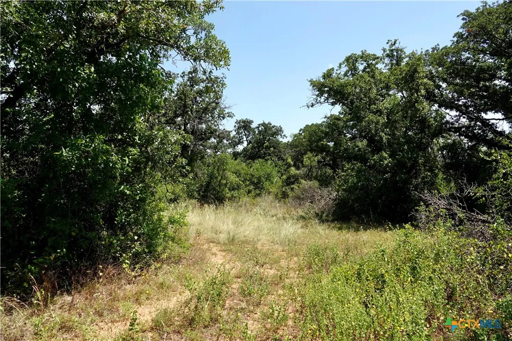 5711 FM 765 San Saba, TX 76872
