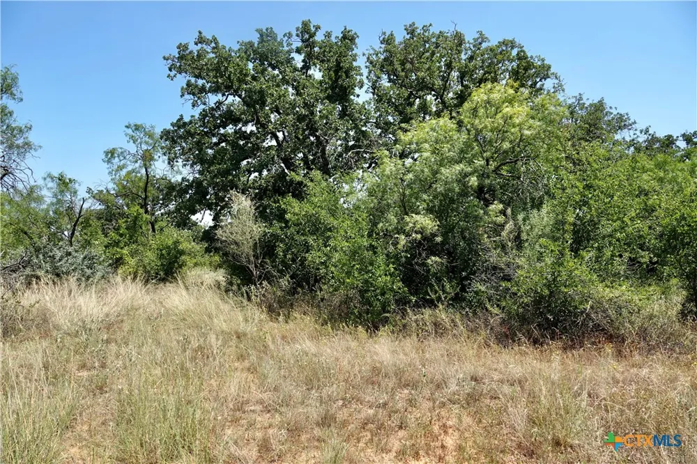 5711 FM 765 San Saba, TX 76872
