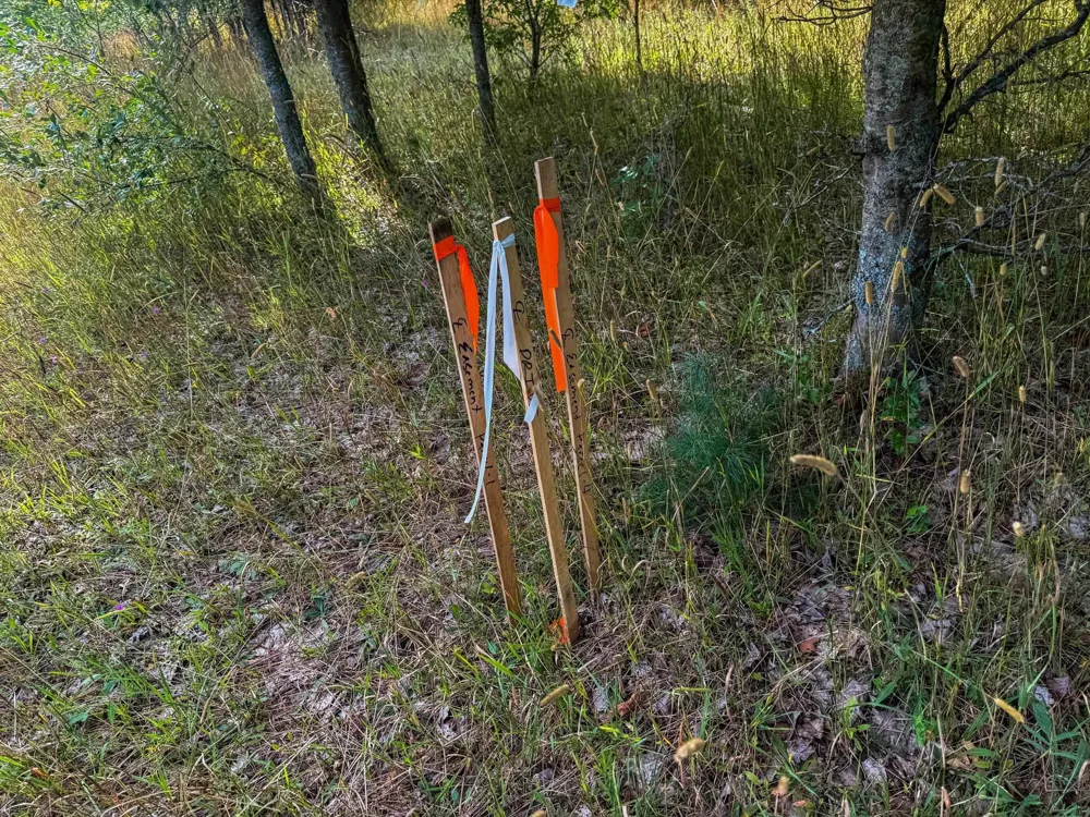 E Darga Road Kasson Township, MI 49621