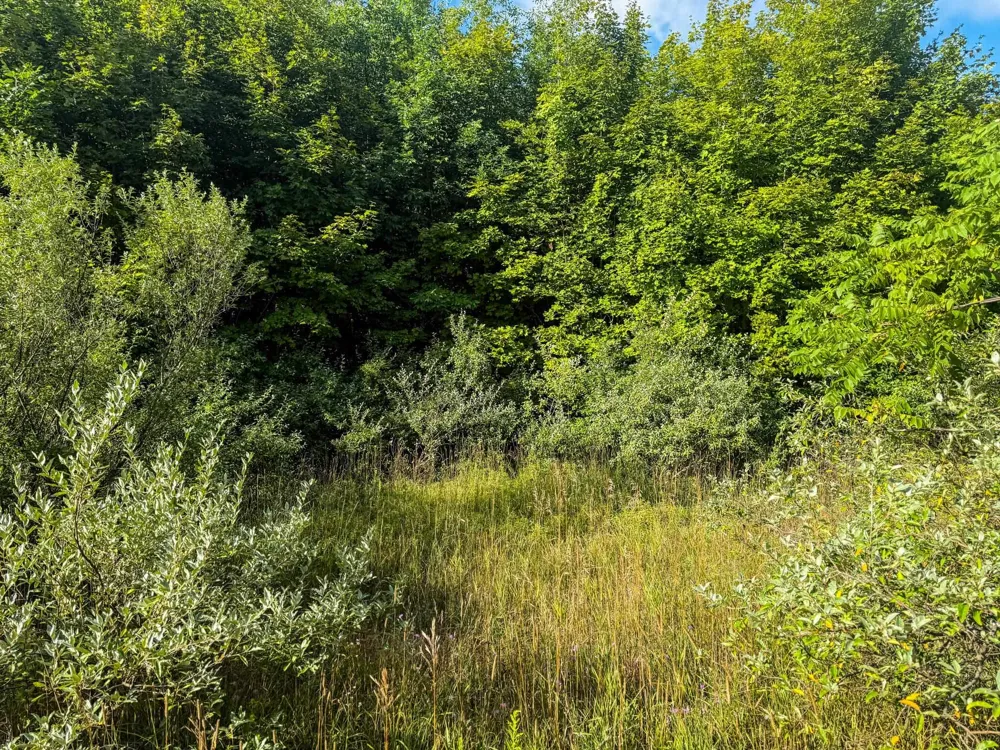 E Darga Road Kasson Township, MI 49621
