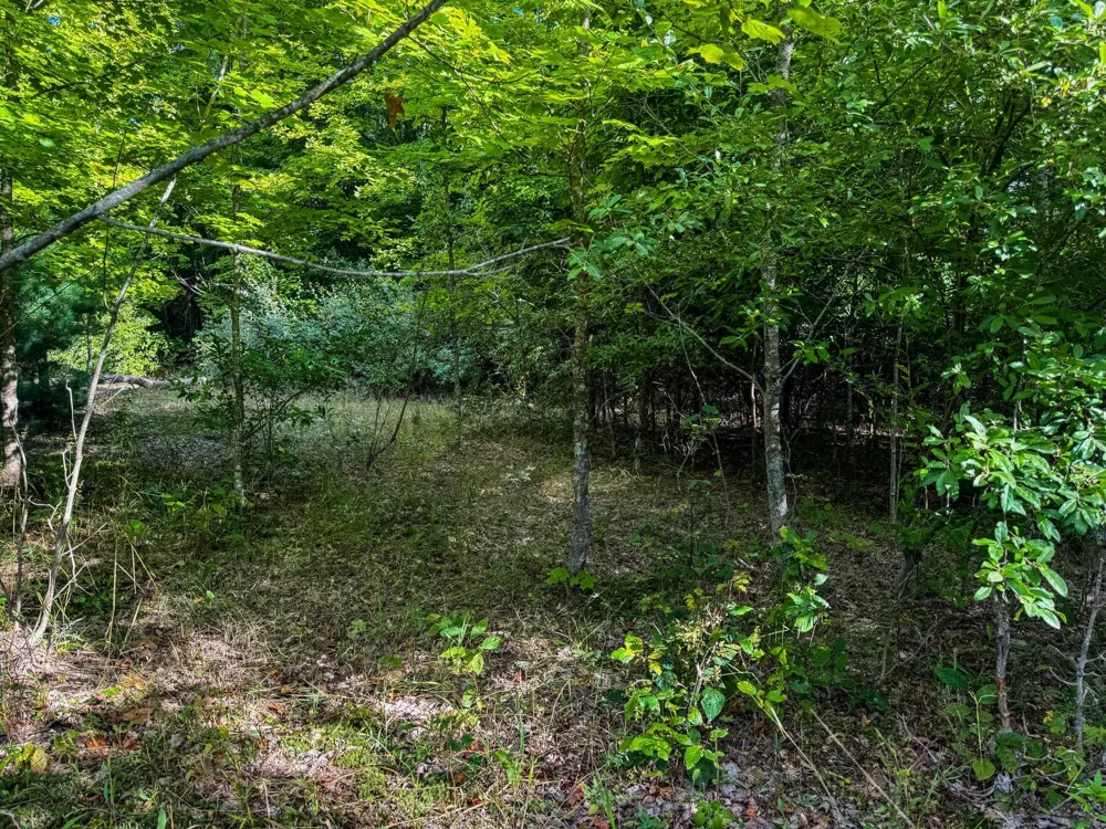 E Darga Road Kasson Township, MI 49621