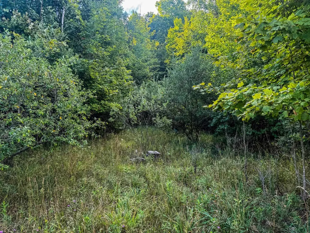 E Darga Road Kasson Township, MI 49621