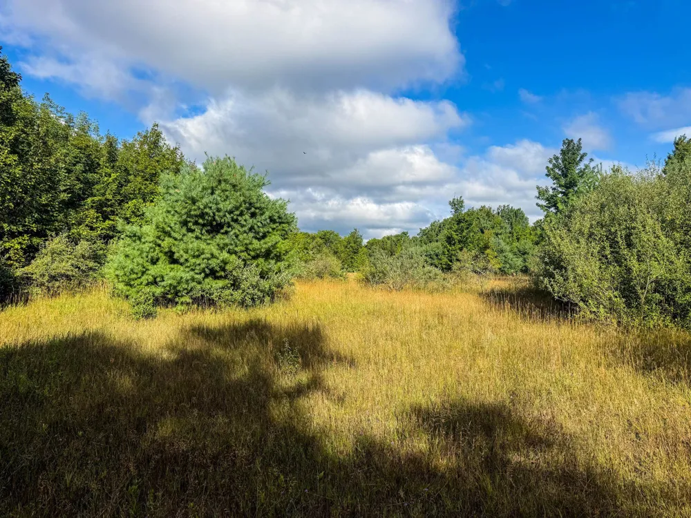 E Darga Road Kasson Township, MI 49621