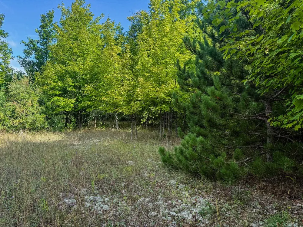 E Darga Road Kasson Township, MI 49621