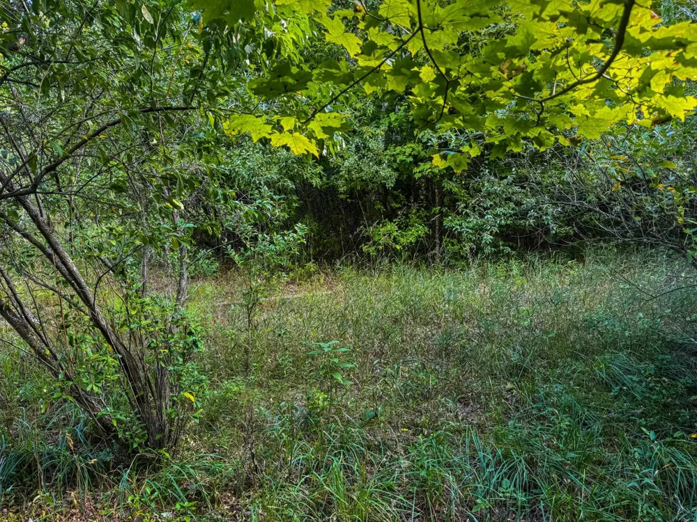 E Darga Road Kasson Township, MI 49621