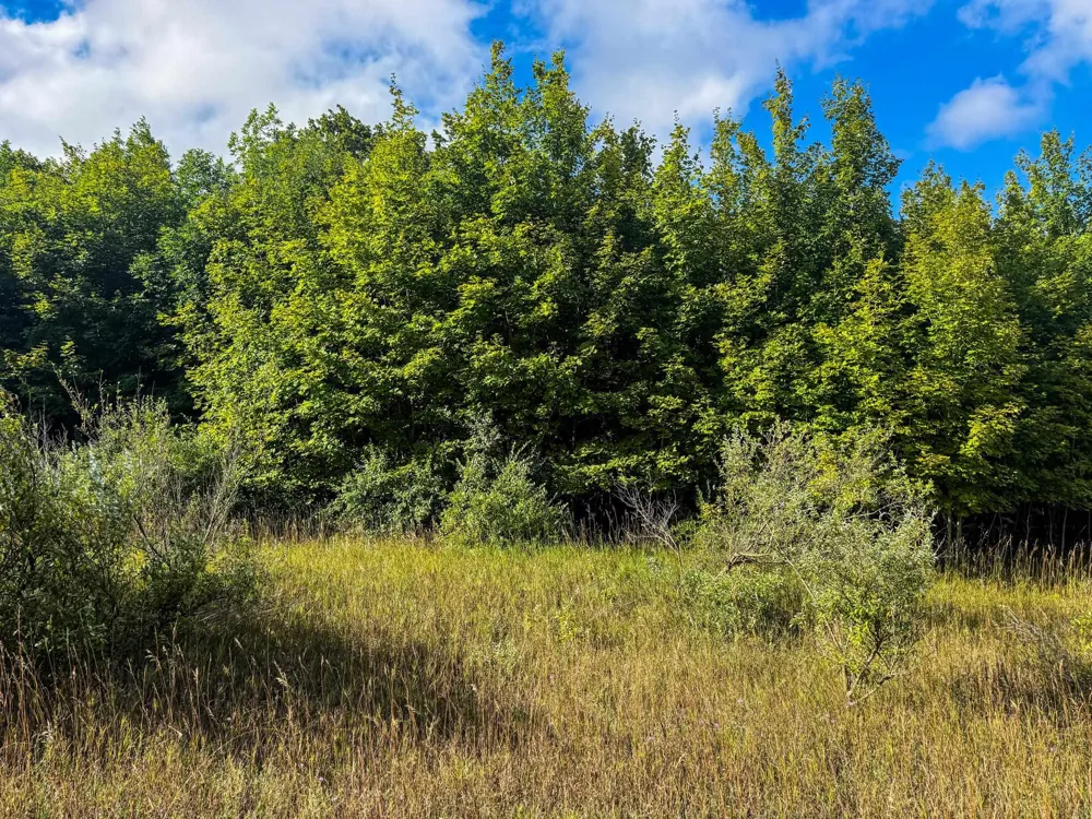 E Darga Road Kasson Township, MI 49621