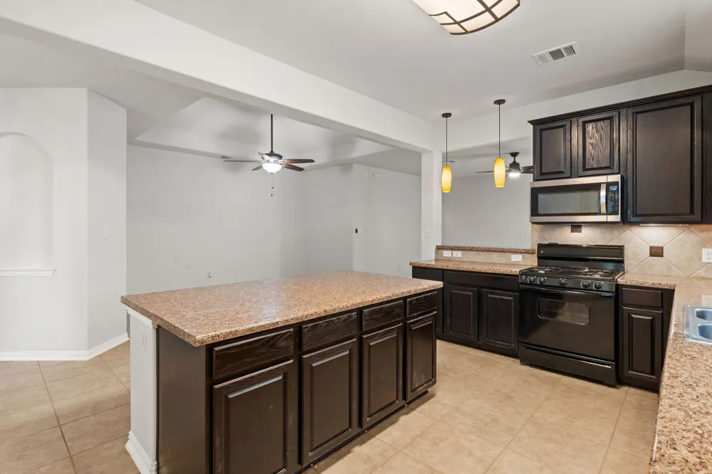 322 Strawberry Blonde Drive Buda, TX 78610