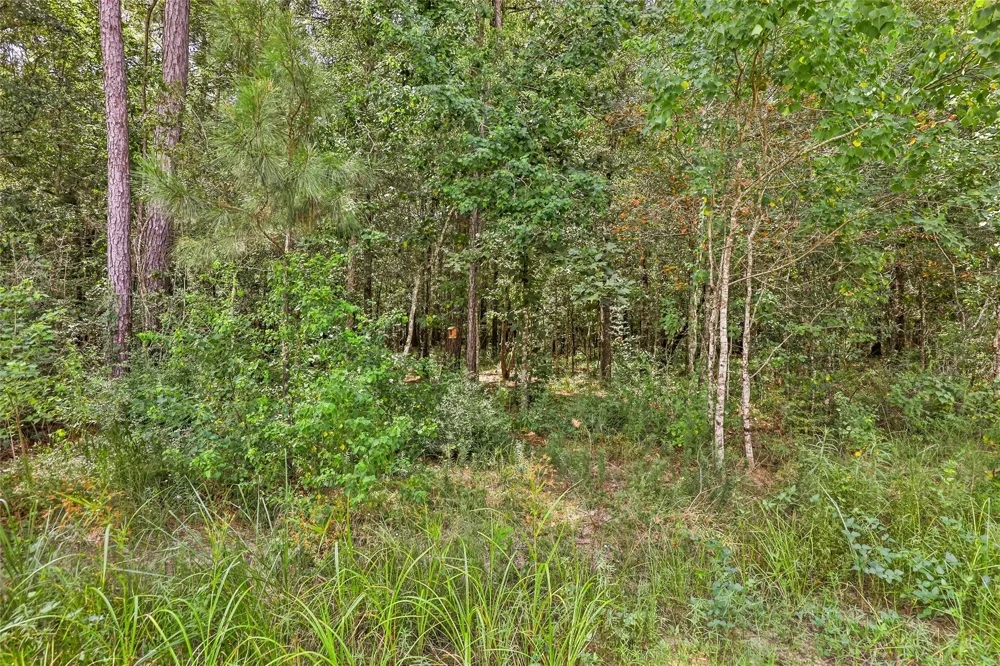 525 Little Spring Court Anahuac, TX 77514