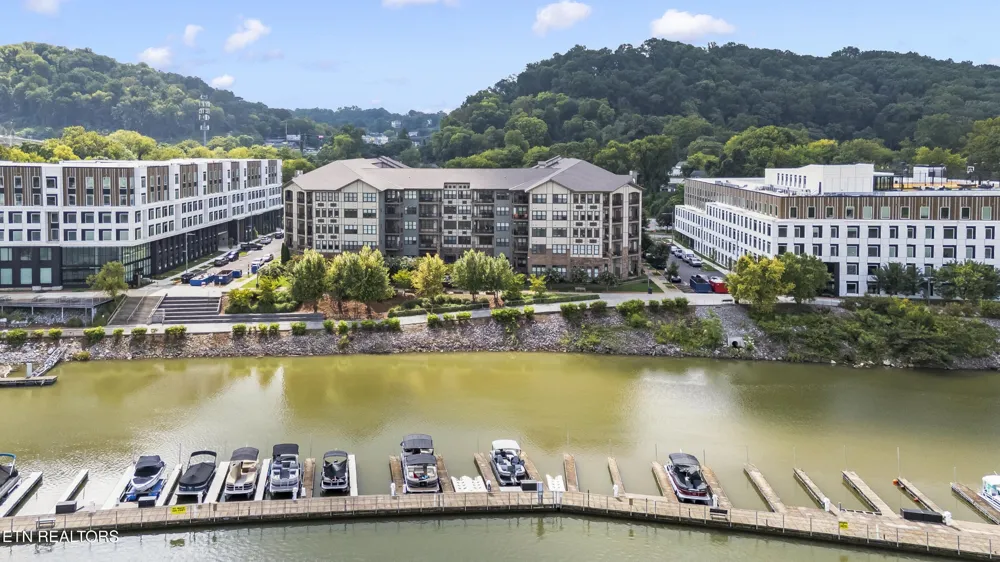 445 W Blount Ave #502 Knoxville, TN 37920