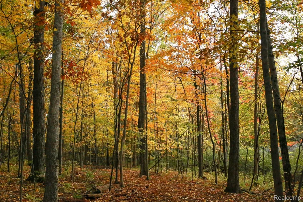 5555 Mast Road Webster Township, MI 48130